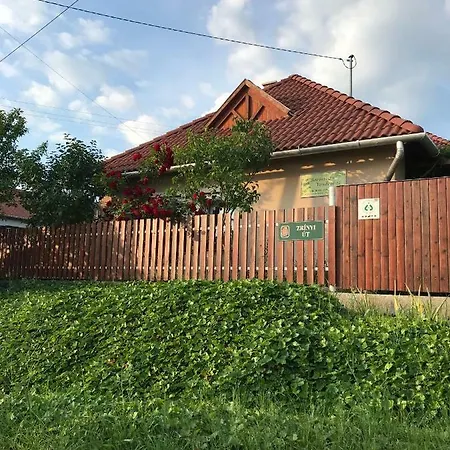 Borostyan Vendeghaz Villa Verpelet Exterior photo