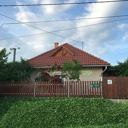 Borostyan Vendeghaz Villa Verpelet Exterior photo